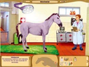 My Horse Farm: Welcome to Trotterville Gameplay (Windows)